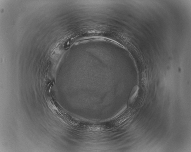 X0000053130547200508012220