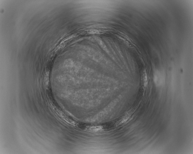X0000053130554200508012220