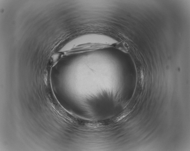 X0000053130556200508012220