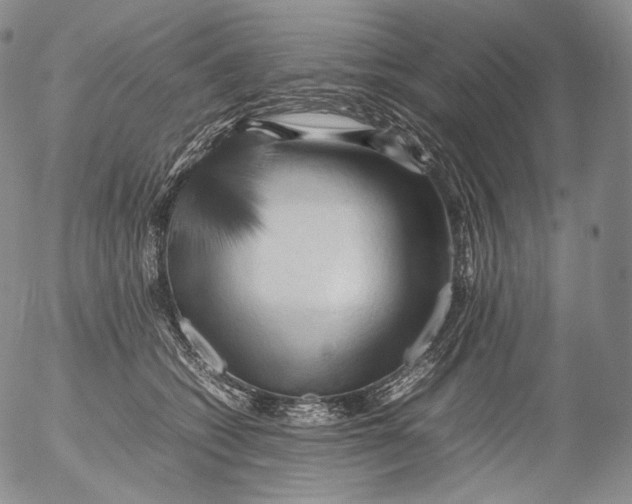 X0000053130562200508012220