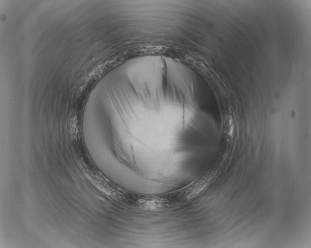 X0000053130564200508012220