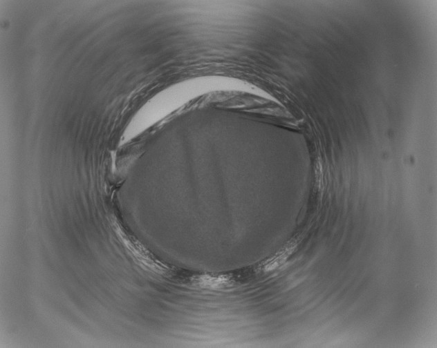 X0000053130570200508012221