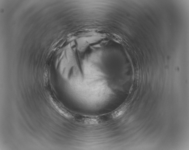 X0000053130572200508012221