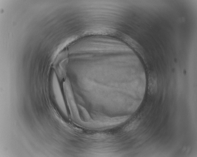 X0000053130578200508012220