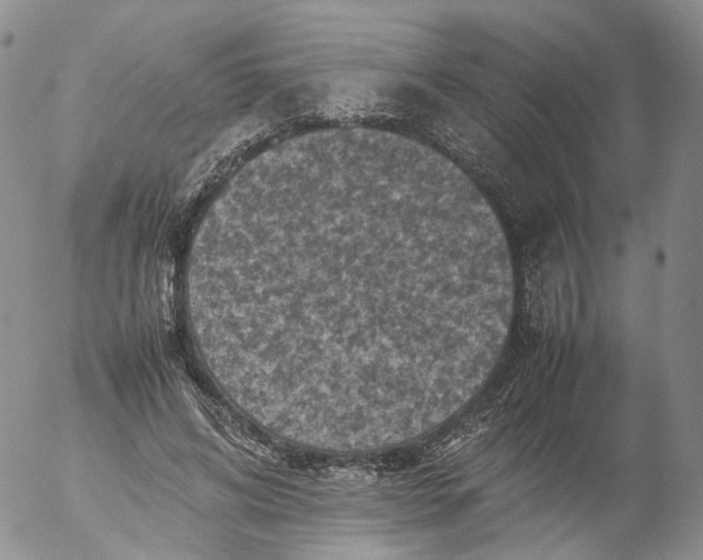 X0000053130592200508012220