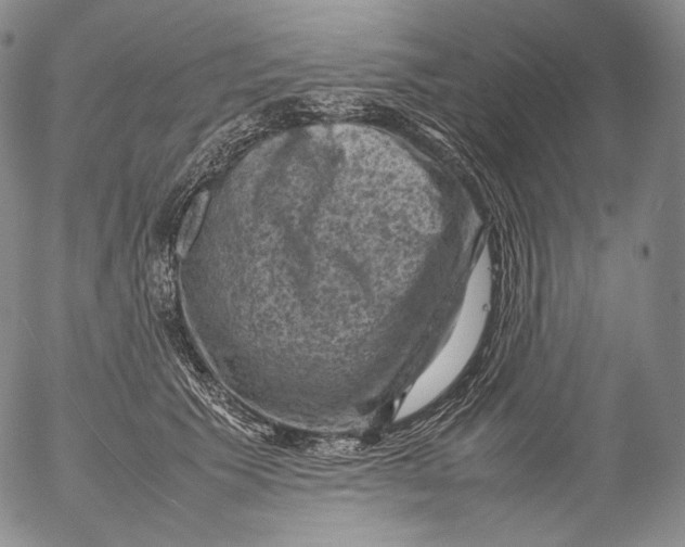 X0000053130609200508012219