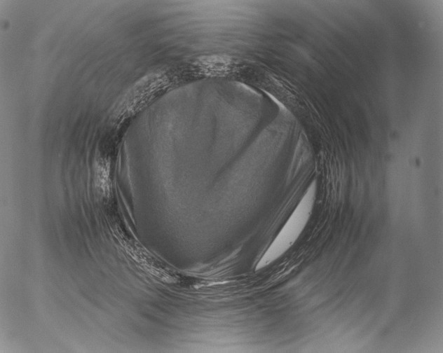 X0000053130610200508012219