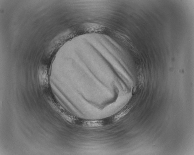 X0000053130622200508012219