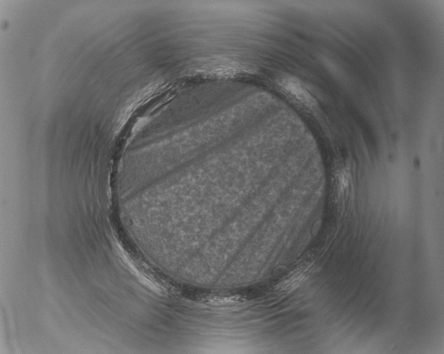 X0000053130638200508012218