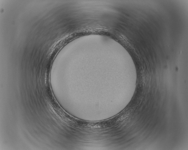 X0000053130640200508012218