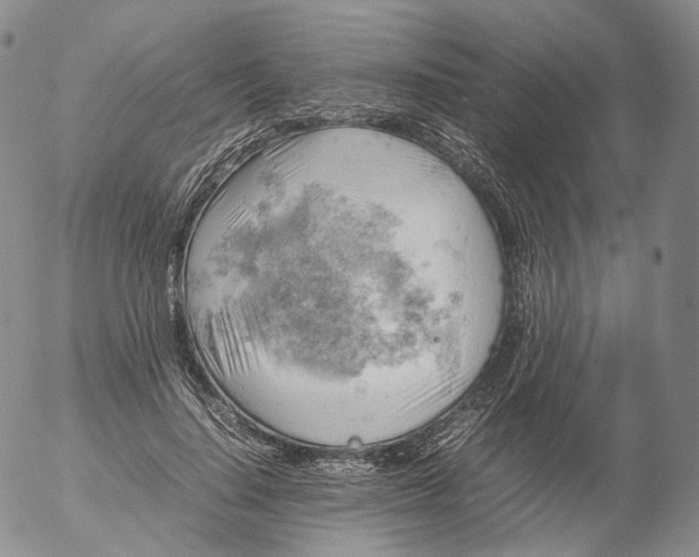X0000053130644200508012218