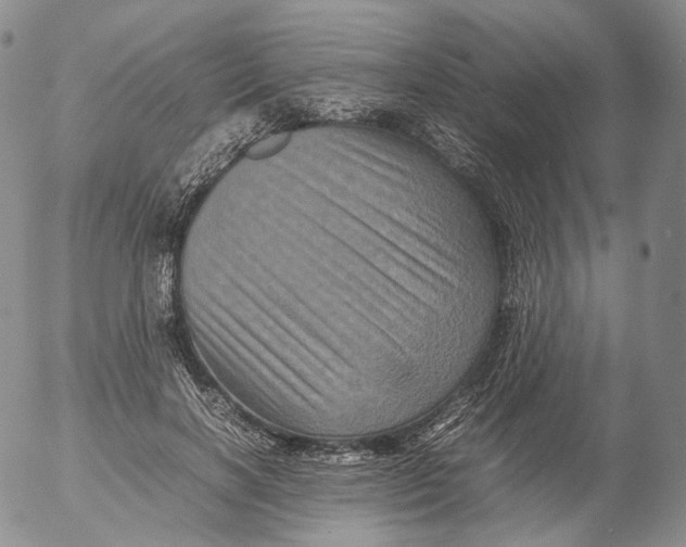 X0000053130646200508012219
