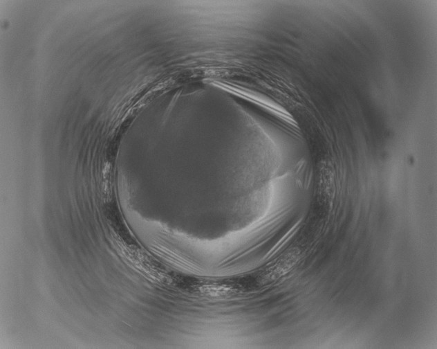 X0000053130650200508012219
