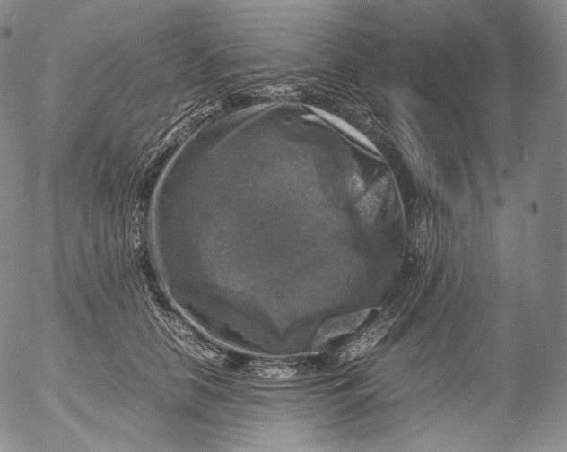 X0000053130658200508012219