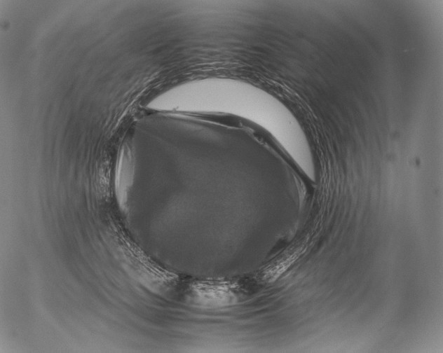 X0000053130661200508012219
