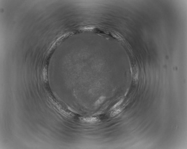 X0000053130669200508012219