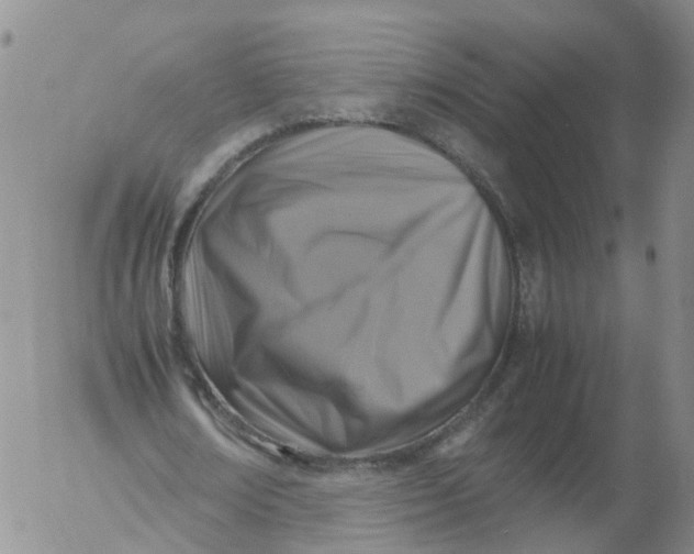 X0000053130674200508012218