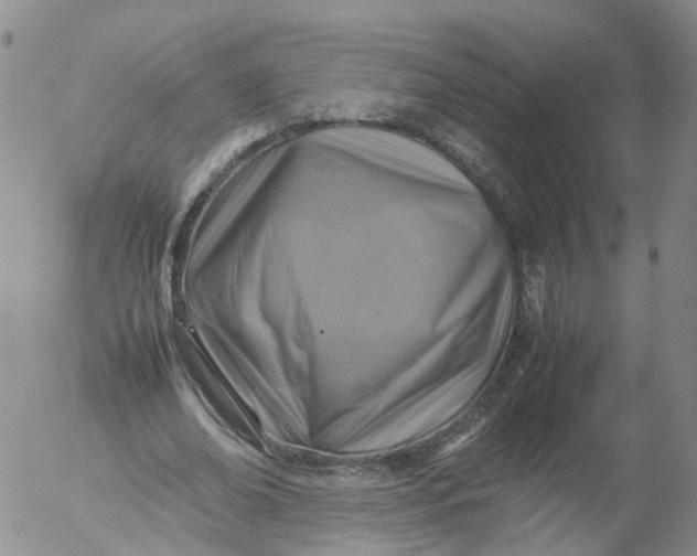X0000053130678200508012218