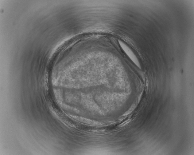 X0000053130680200508012218