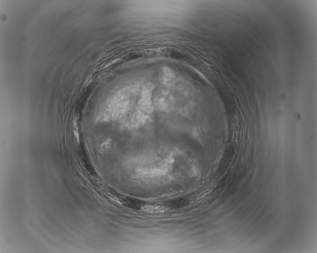 X0000053130699200508012218