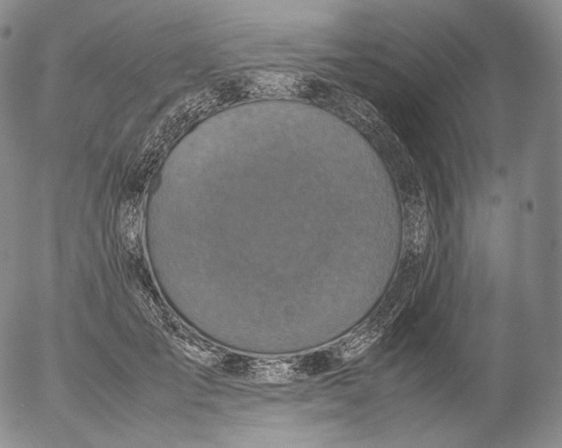 X0000053130701200508012218