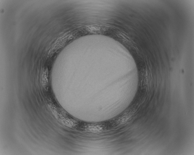 X0000053130702200508012218