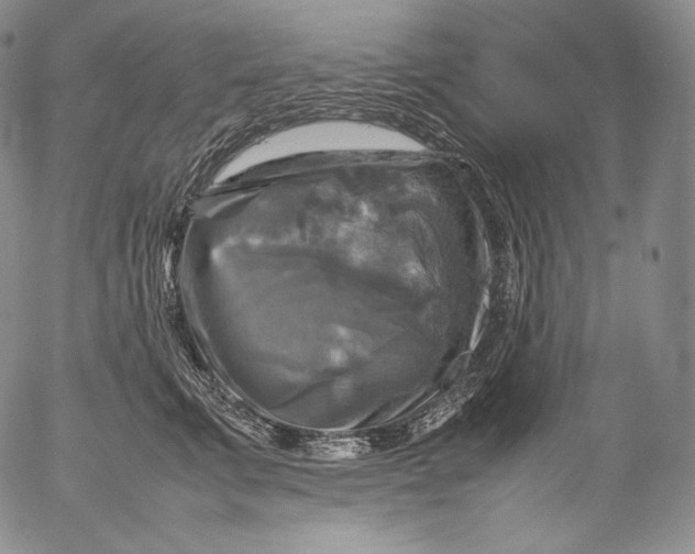 X0000053130711200508012218