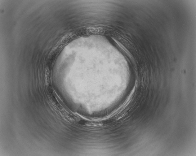 X0000053130712200508012217
