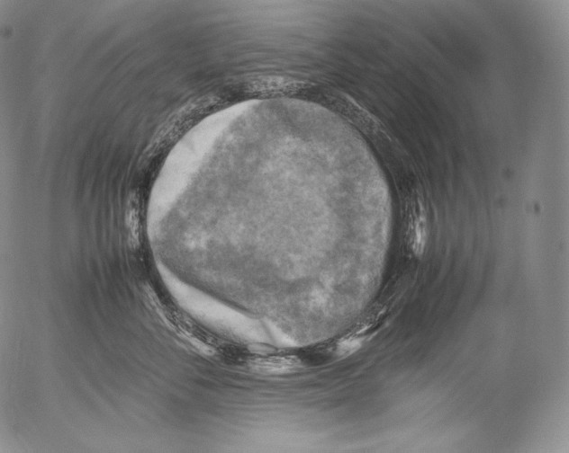 X0000053130716200508012217