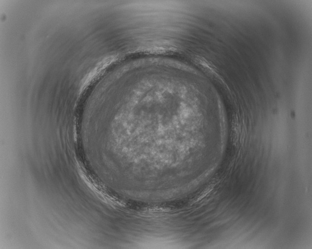 X0000053130734200508012217