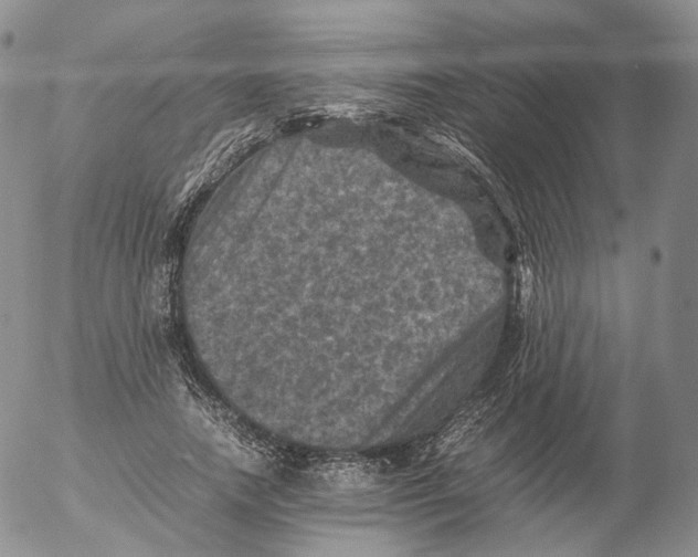 X0000053130738200508012217