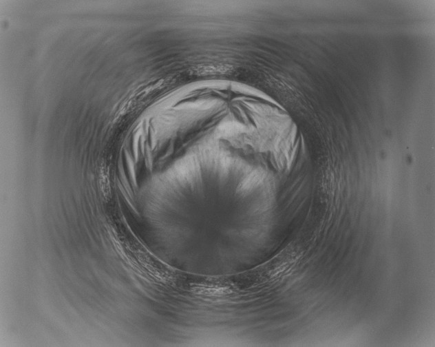 X0000053130743200508012217