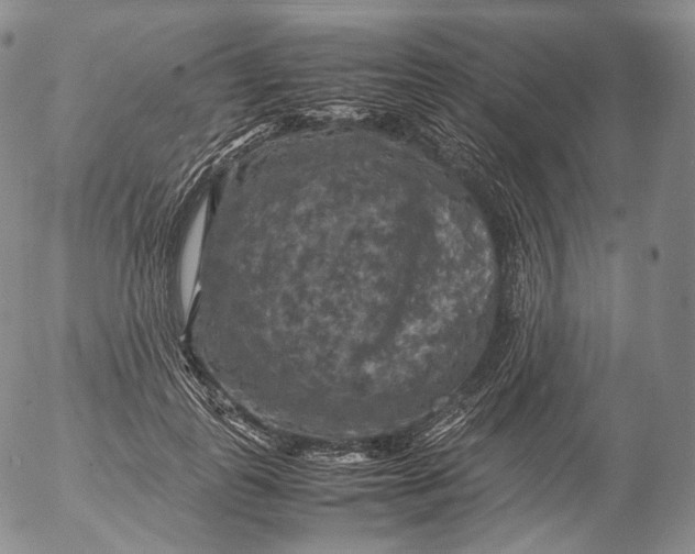 X0000053130747200508012217