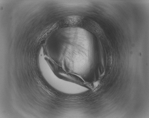 X0000053130750200508012217