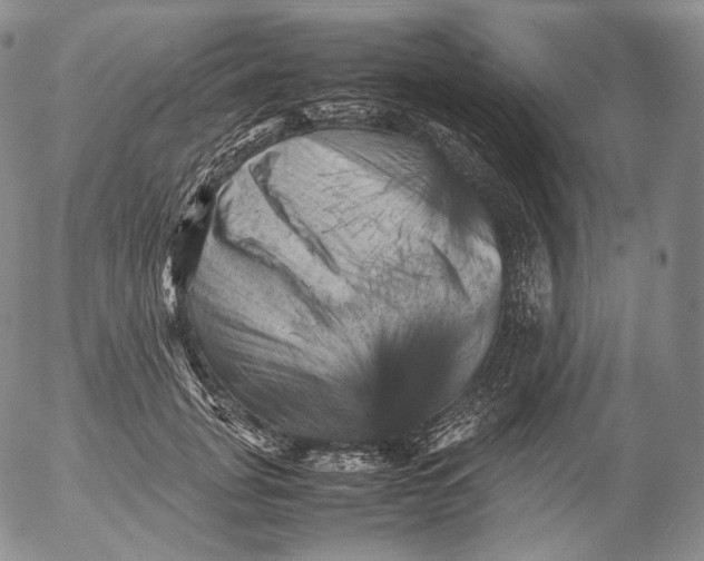 X0000053130751200508012217