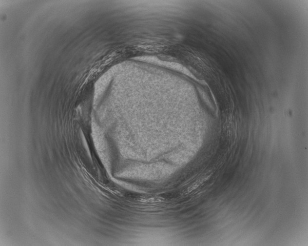 X0000053130752200508012217