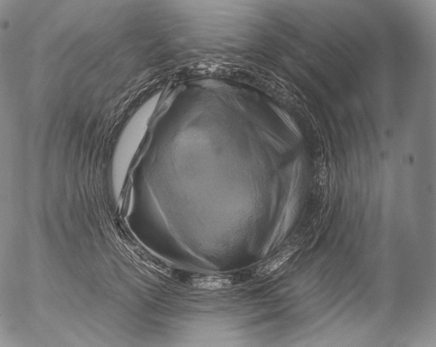 X0000053130754200508012217