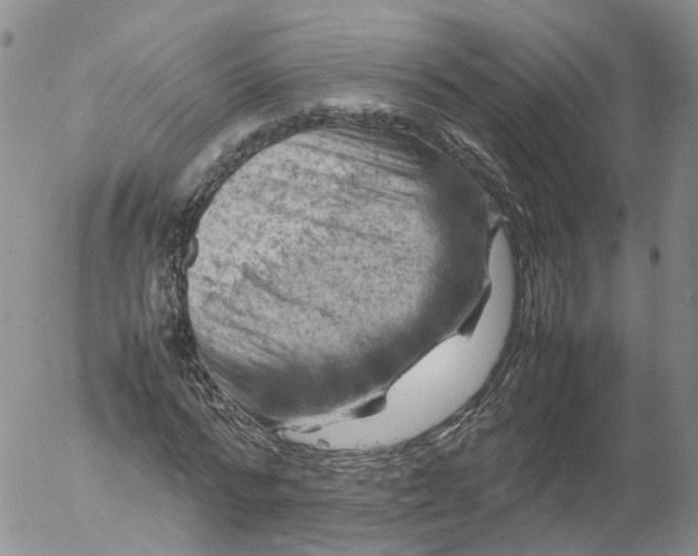 X0000053130776200508012216