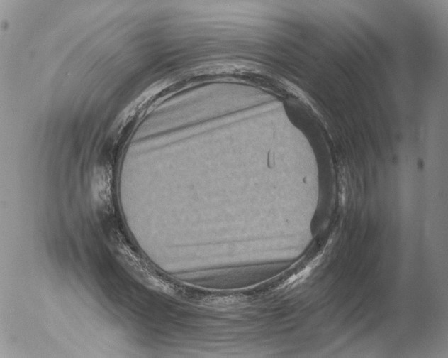 X0000053130778200508012216
