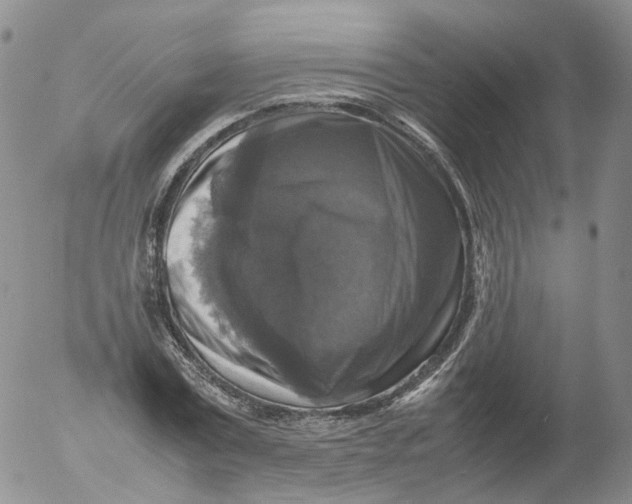 X0000053130779200508012216