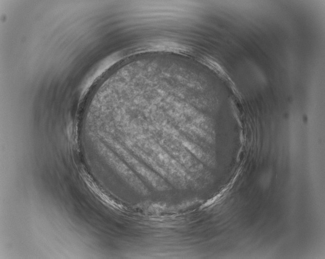X0000053130780200508012216