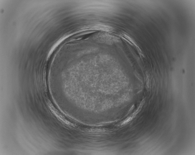 X0000053130788200508012216