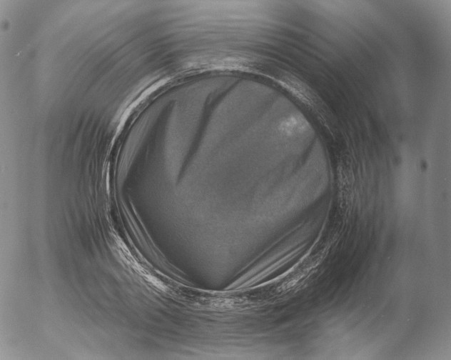 X0000053130790200508012216