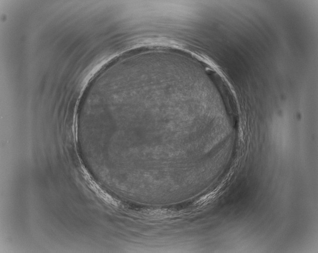 X0000053130791200508012216