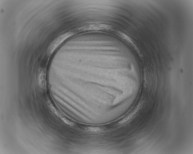 X0000053130794200508012216