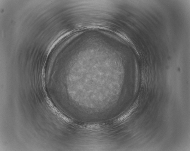 X0000053130798200508012216