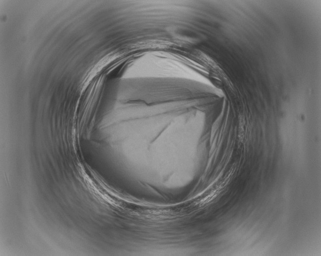 X0000053130802200508012216