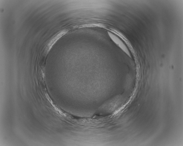 X0000053130809200508012216