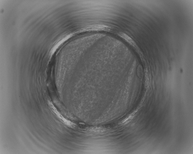 X0000053130834200508012215