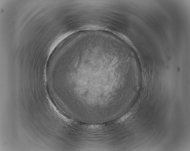X0000053130839200508012215